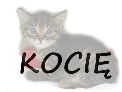 europejska